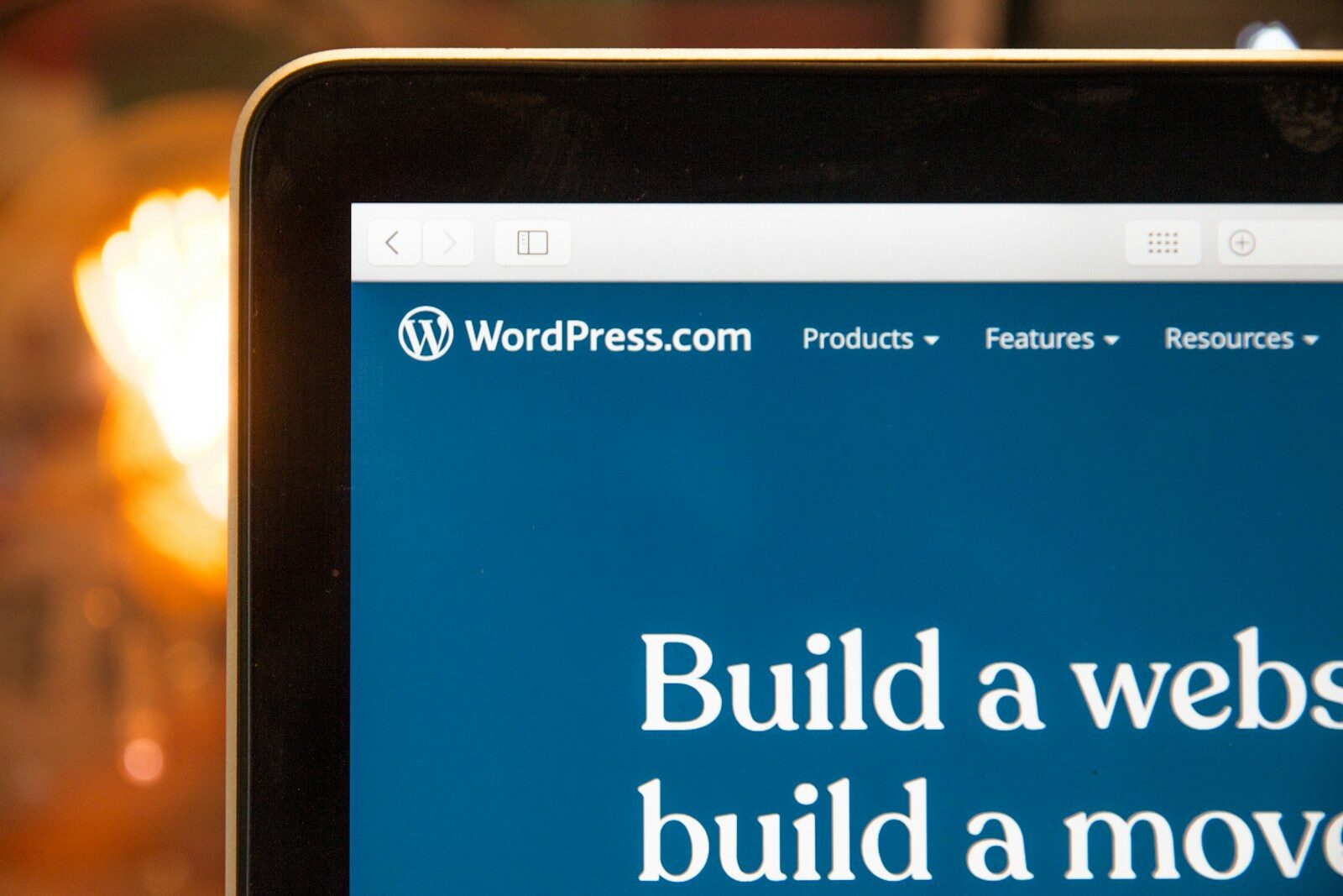 WordPress Professional Websites
